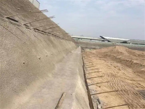 武邑河道边坡加固